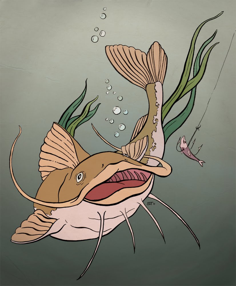 Картинки для детей сом с усами