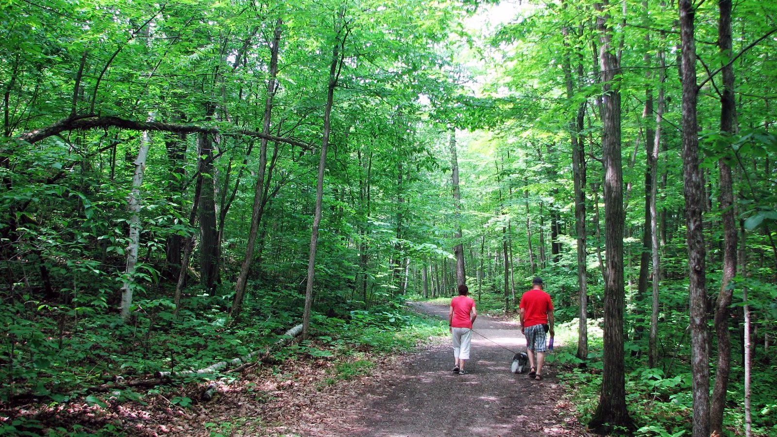 Zigzag De Photos Sur Un Sentier
