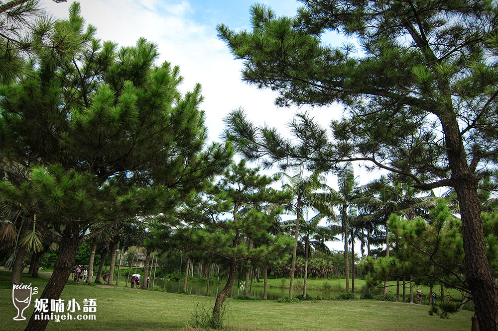 【花蓮/壽豐景點】雲山水夢幻湖(1訪)。唯美浪漫的私房祕境