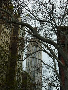 Navidad en Nueva York 2010 - Blogs de USA - Día 5: 6 de Diciembre. ESB y NBA (4)