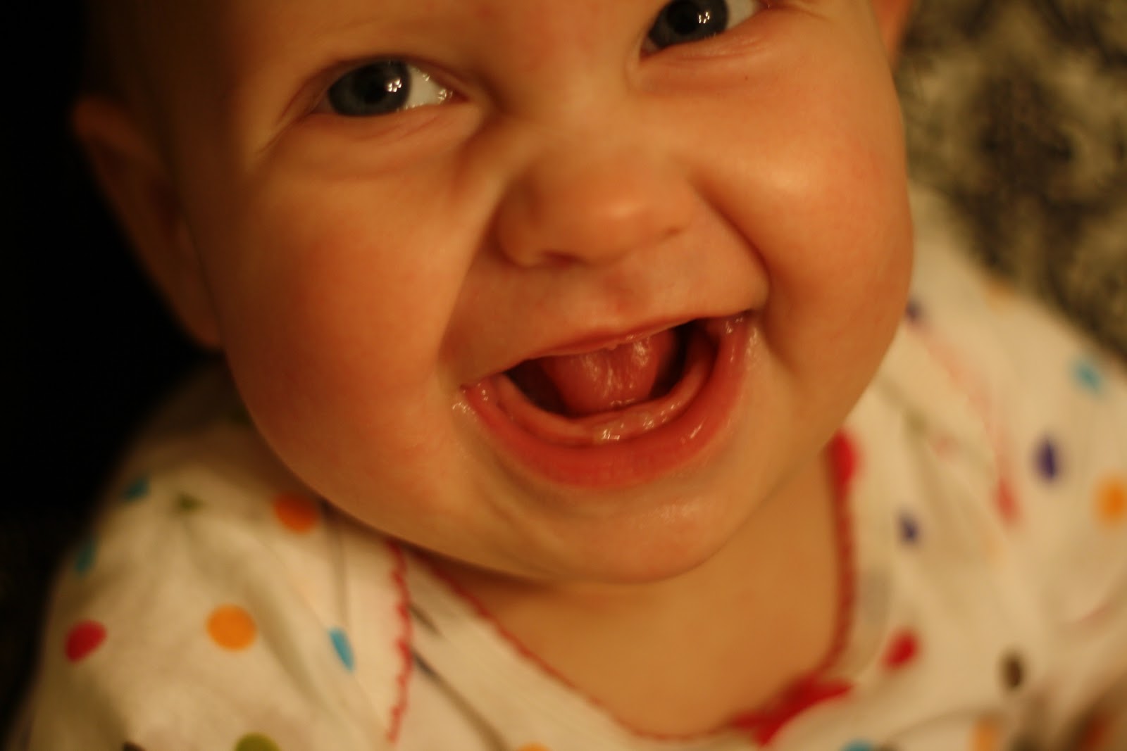 The Hardy Life: Teeth