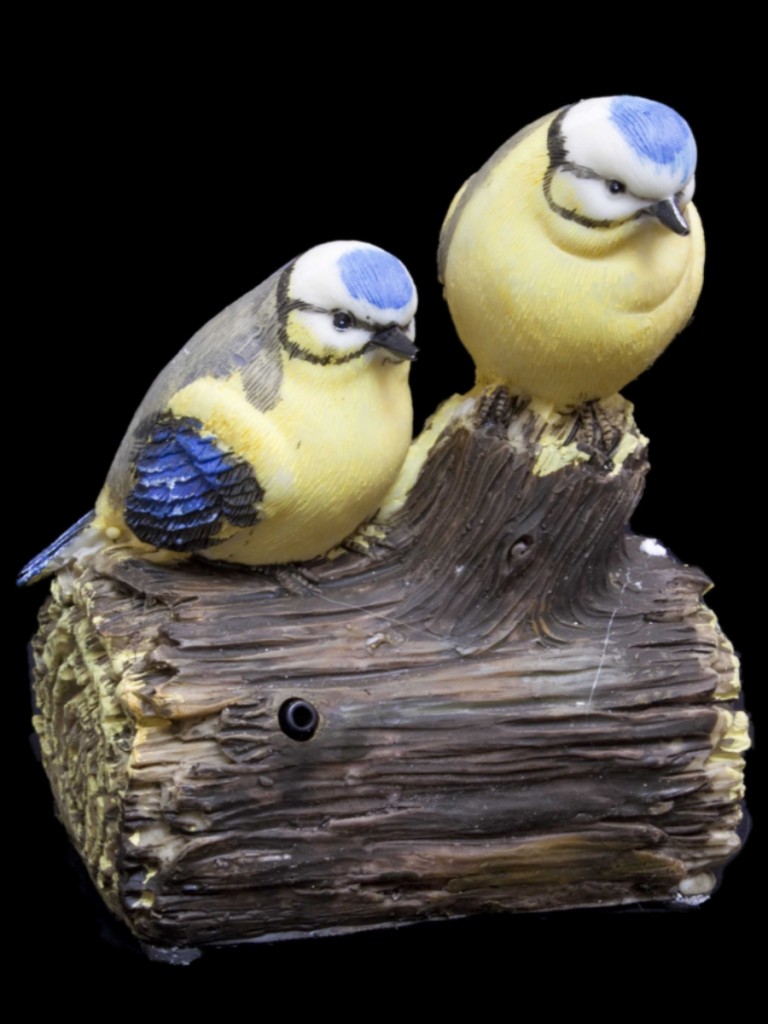 Bird In Everything Ornamental Birds