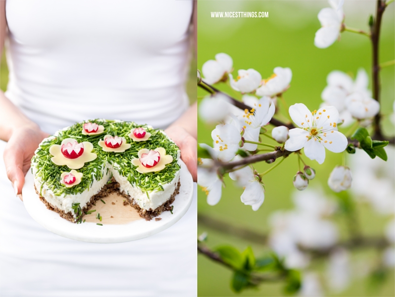 Frischkäse Torte herzhafter Cheesecake Rezept
