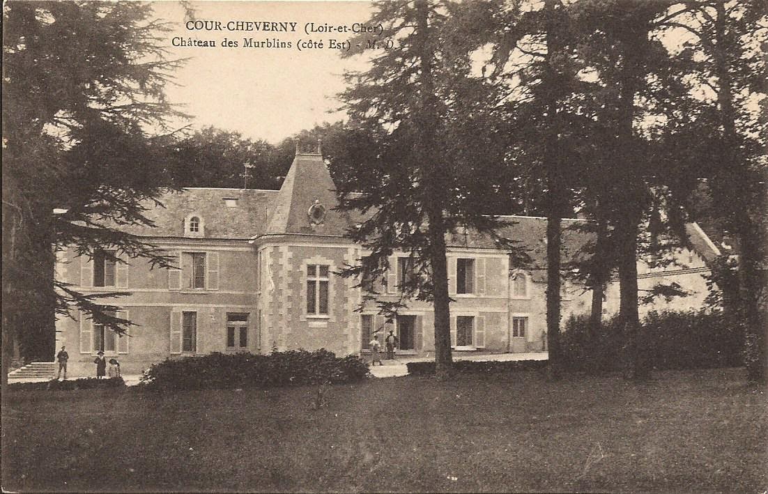 Château des Murblins - Cour-Cheverny