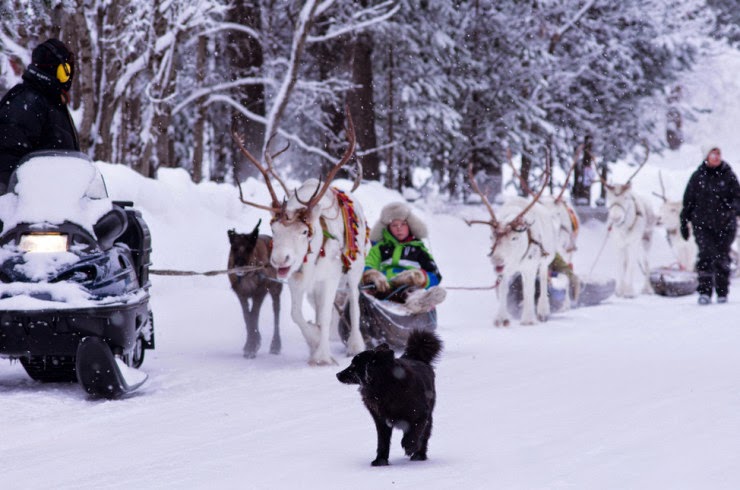 Sami%2BWinter%2BMarket%2Band%2BLiving%2B