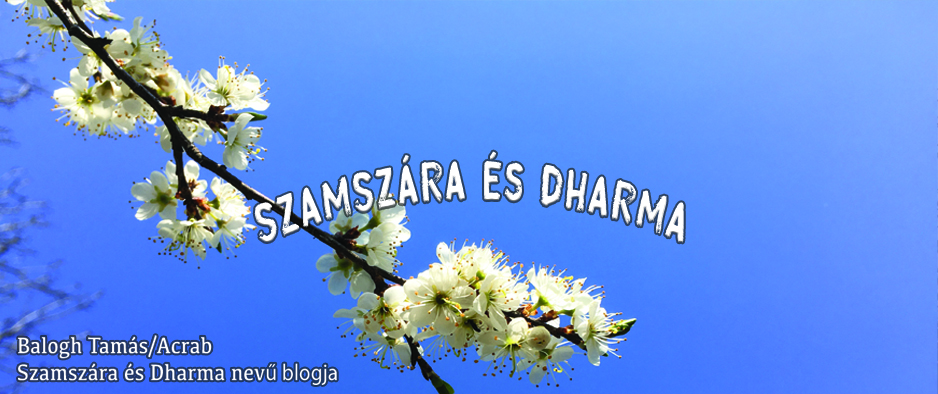 Szamszára és Dharma