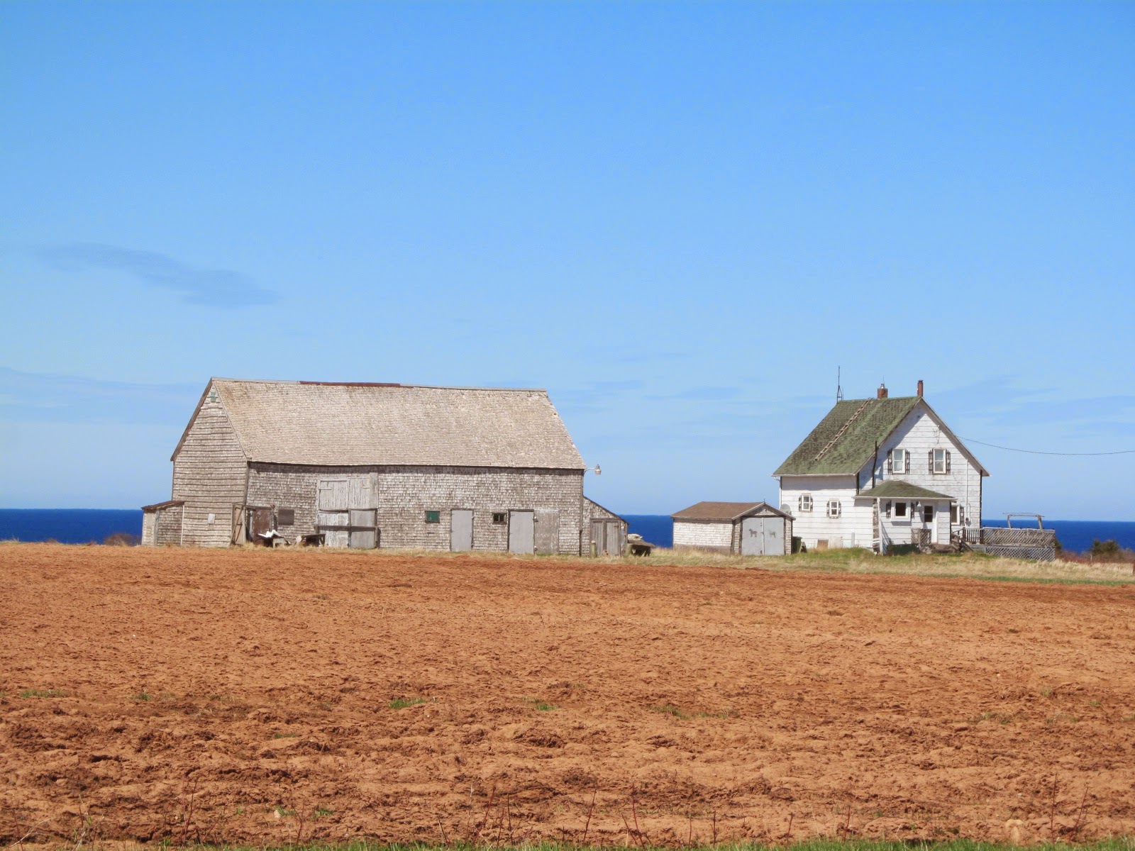 P.E.I. Heritage Buildings Abandoned Homestead, Nail Pond