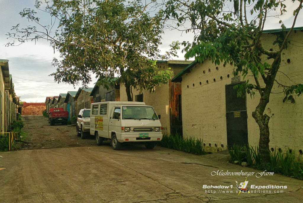 The Mushroomburger One of Tagaytay's famous fast food since the 80's