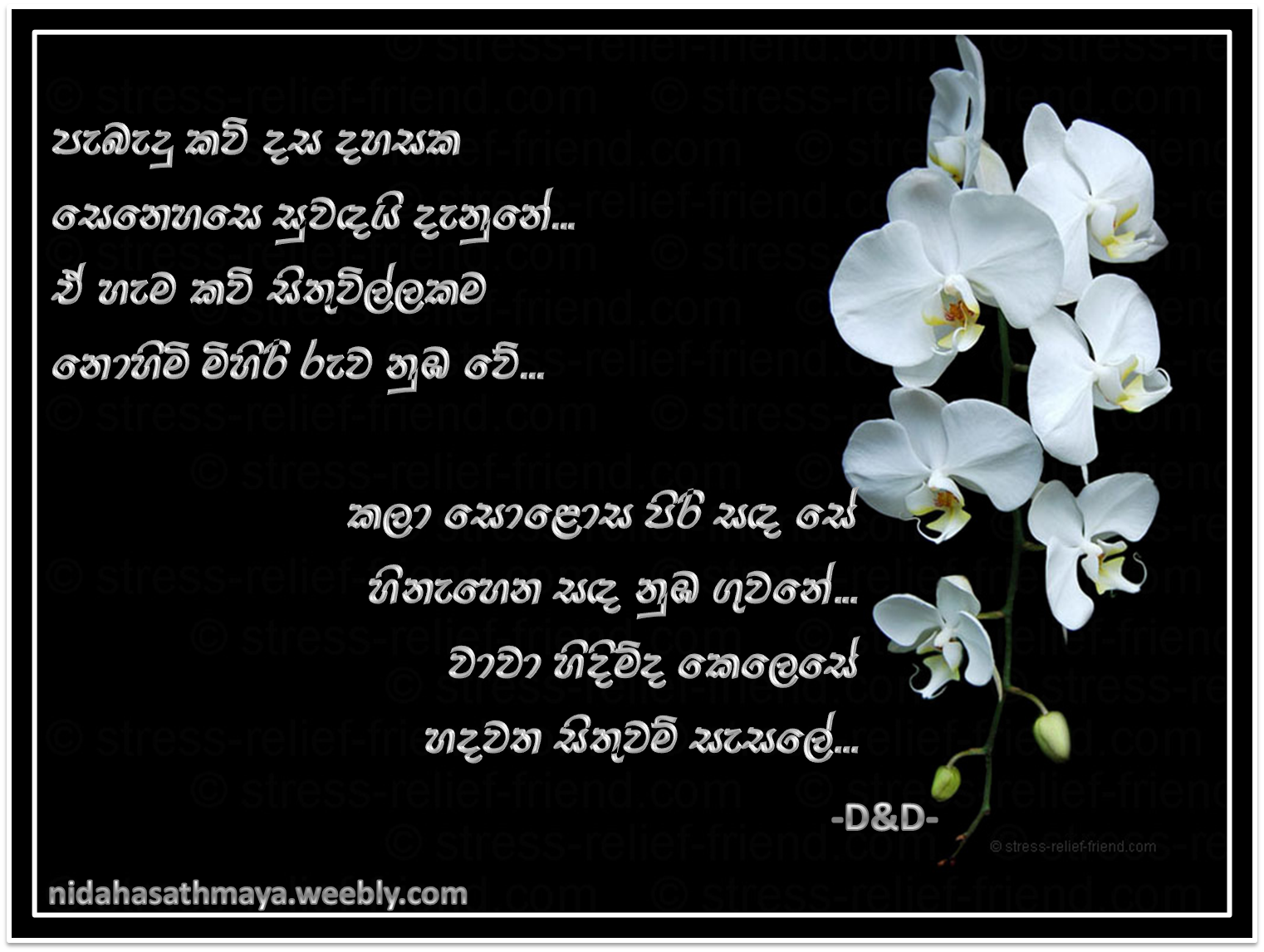 Sad Love Poems In Sinhala Sinhala sad love images holidays oo