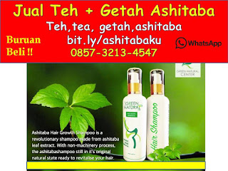 0857-3213-4547 Cara Mengkonsumsi Daun Ashitaba dan Getah Ashitaba 0857-3213-4547 Cara Mengkonsumsi Daun Ashitaba dan Getah Ashitaba
