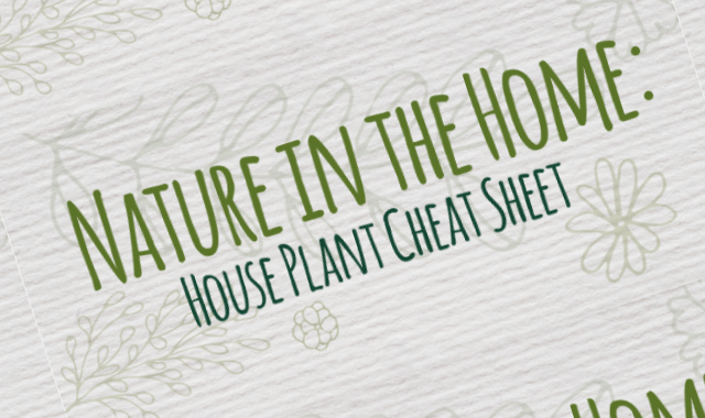 Indoor Plants Cheat Sheet