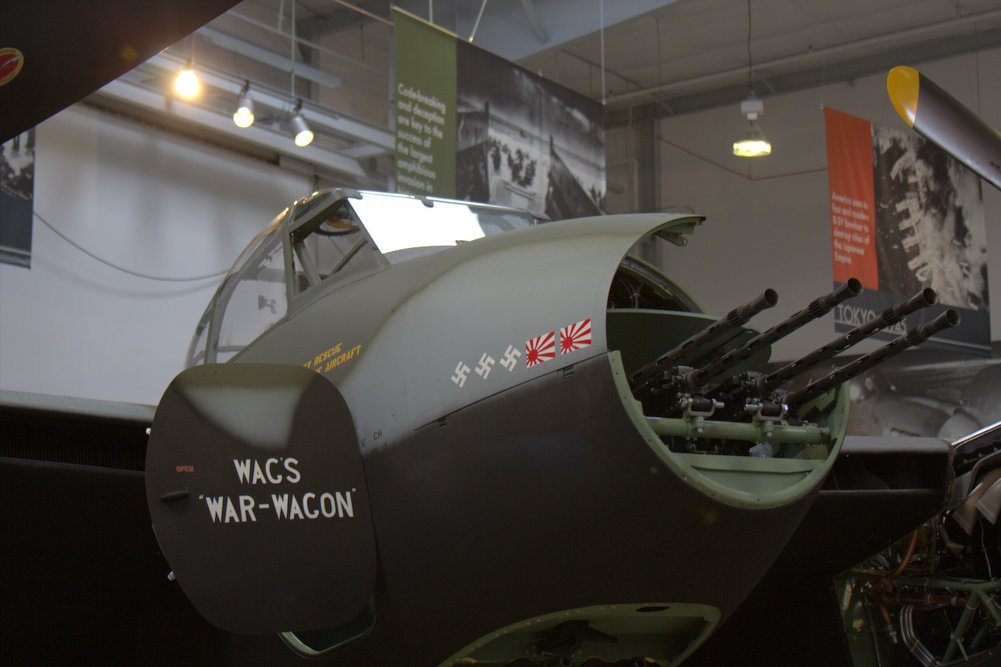 A Scale Canadian Mosquito!