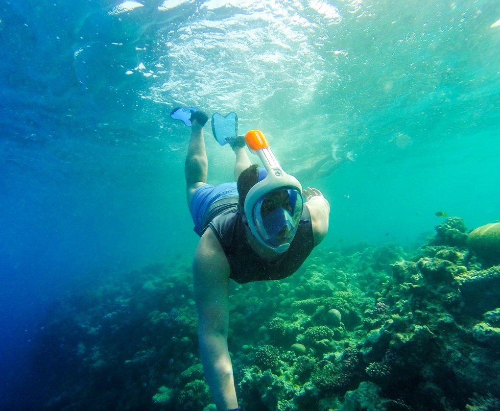 Hurghada Snorkeling Ibis Egypt Tours