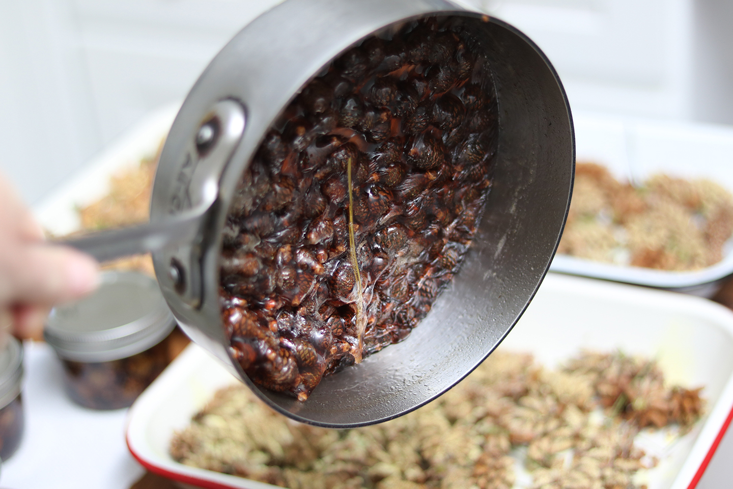 66 Square Feet (Plus): Pine Cone Jam