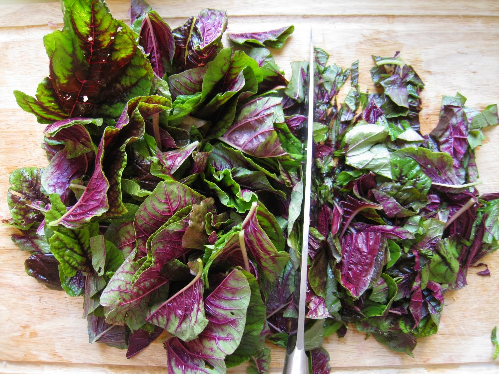 The Earth of India: All About Amaranth (Amaranthus)