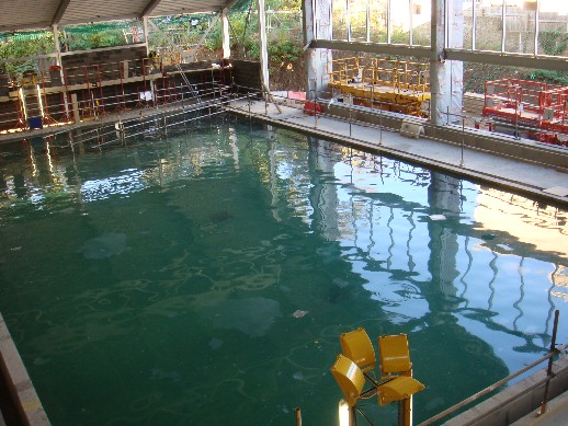 forest hills community pool