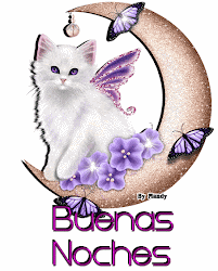 noches buenas gifs movimiento tarjetas gatitos felices imagenes mandy feliz frases descanso buen bonitas google tardes animados creations saludos night