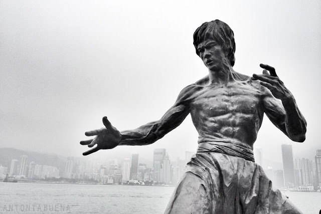 Biodata dan Profil Bruce Lee