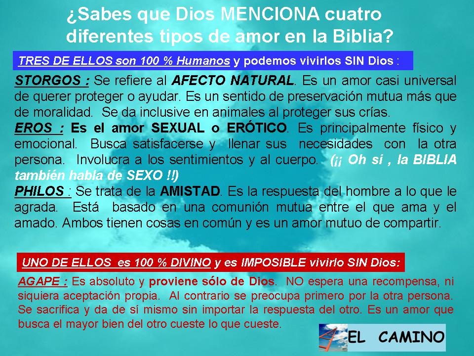 Lo que la Biblia dice de