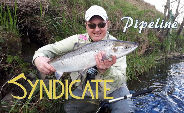syndicate fly rods