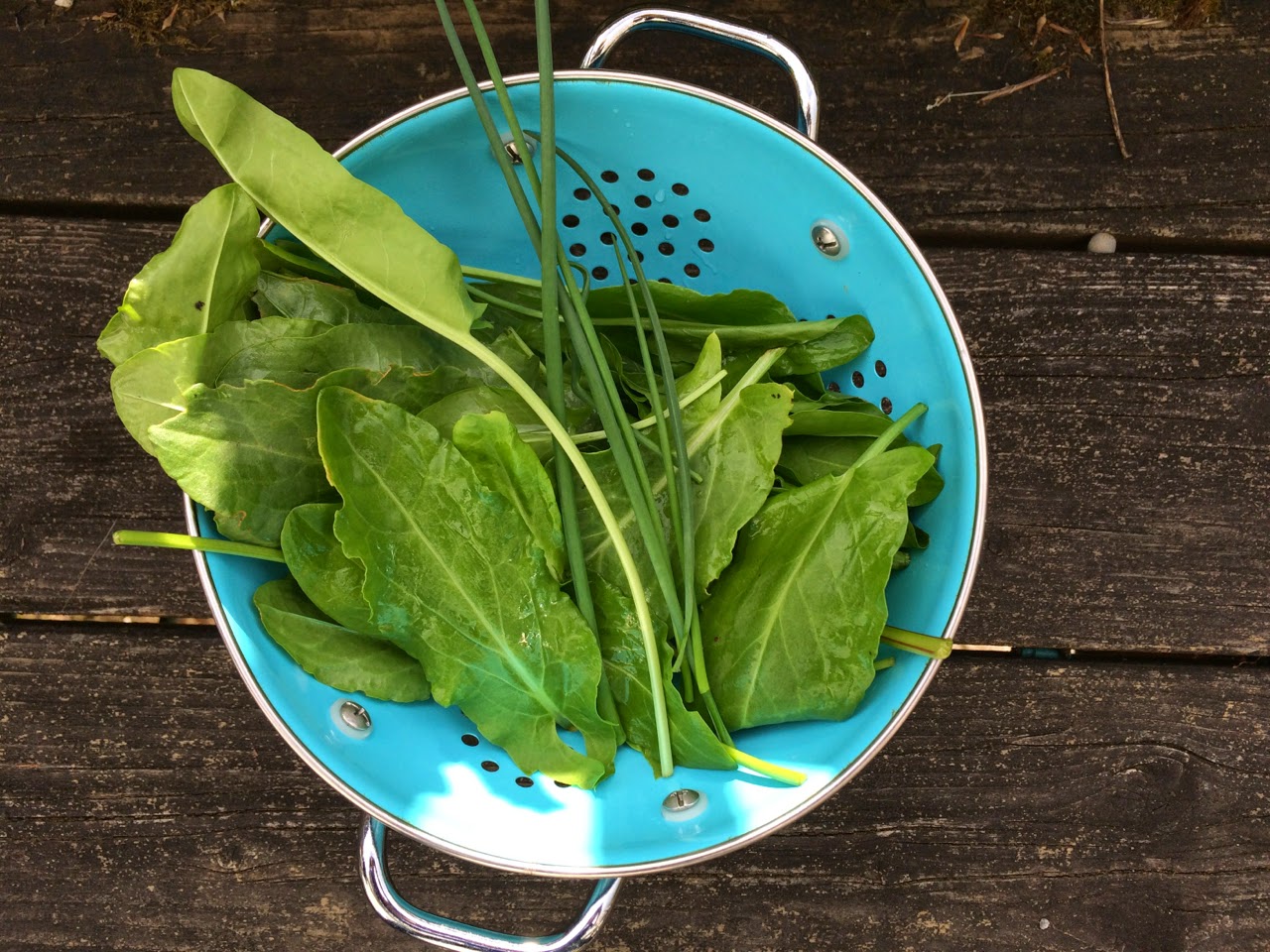 Fairmount Neighborhood Farmers Market Salmon with Sorrel Sauce