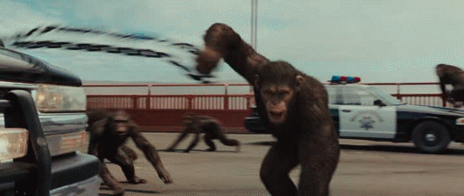 Rise+of+the+planet+of+the+apes+2.gif