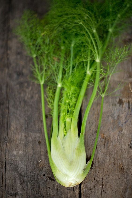 Greeker Than The Greeks 12 Important Aromatic Herbs of Ancient Greece