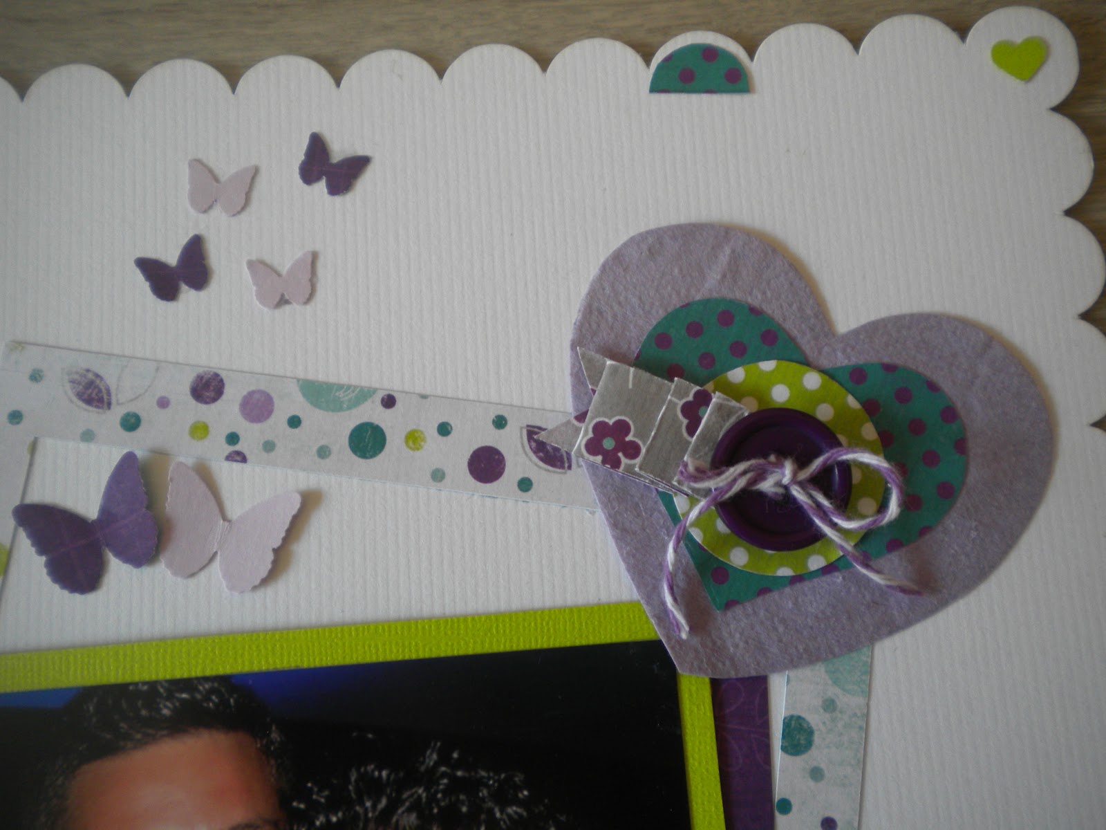 Collezione Di Farfalle Modo Di Dire