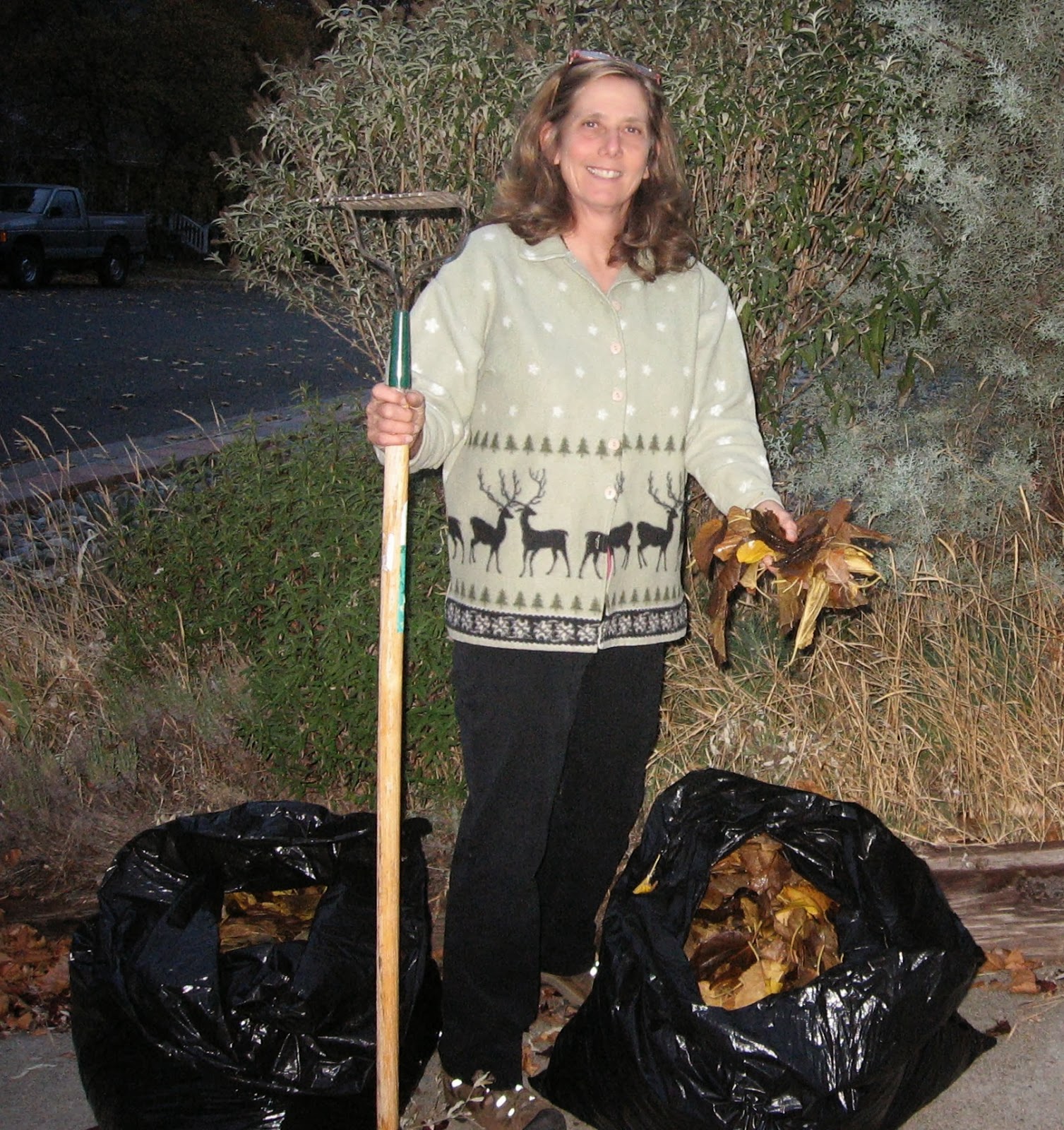 Yreka Community Gardens