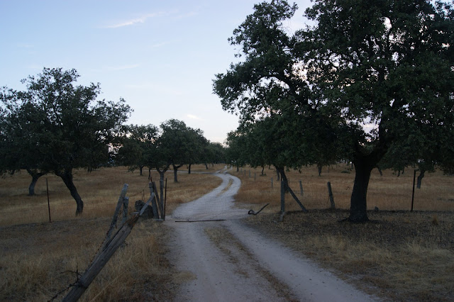 Ruta de Senderismo en el Río Yeguas en el corazón del Parque de Cardeña Montoro