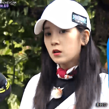 171117 정글의법칙 에이핑크 초롱이.gif | 인스티즈