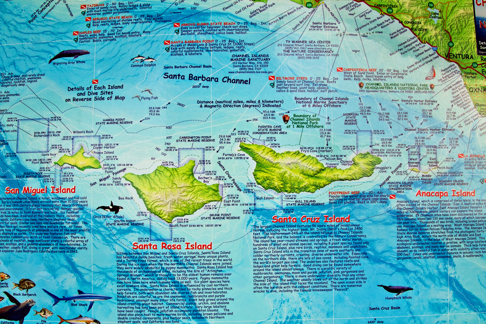 And island which parts. The channel Islands на карте. Остров Калифорния на карте. Карта Айленд.