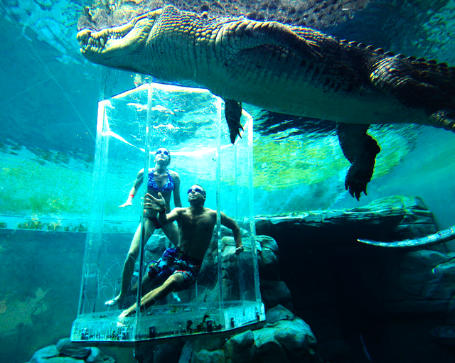 Crocosaurus Cove Aquarium, Australia