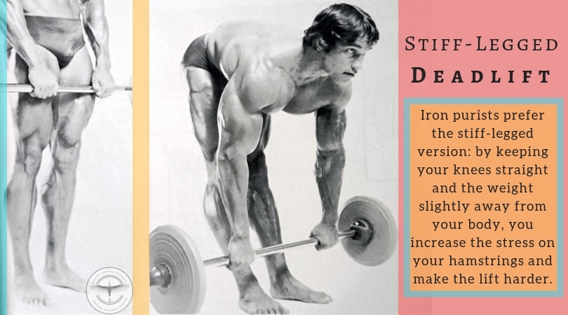 Stiff Legged Deadlift Stiff Legged Deadlift