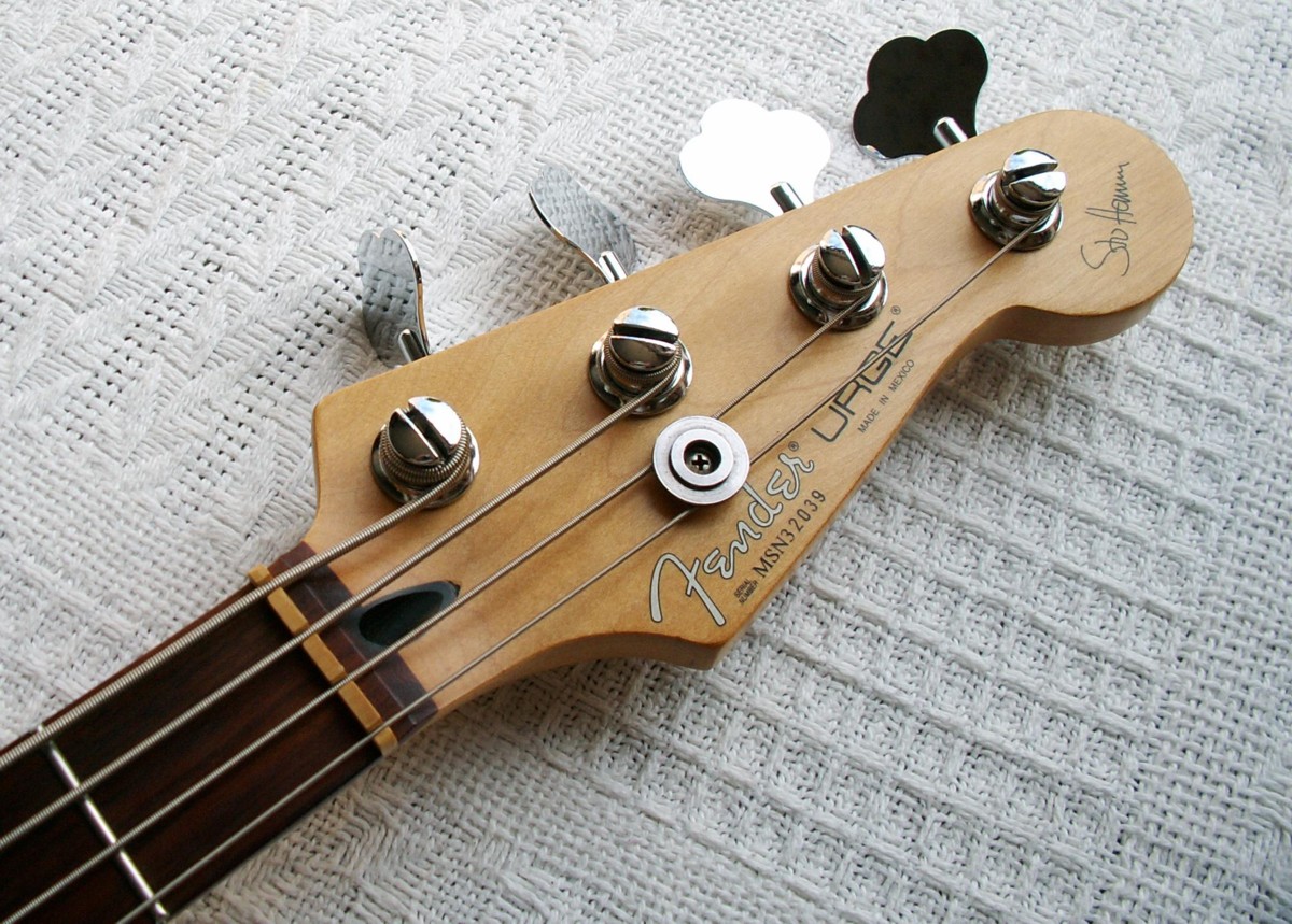 Flat Eric's Bass & Guitar Collection Fender Urge, AcoustiPad and