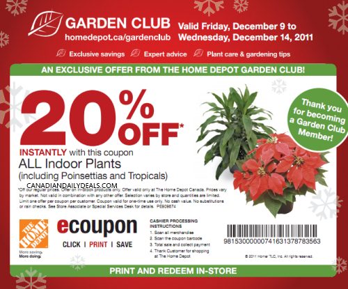 canadian-daily-deals-home-depot-20-off-indoor-plants-printable