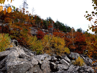 Earthquake Ledge, Acadia National Park (fall foliage)