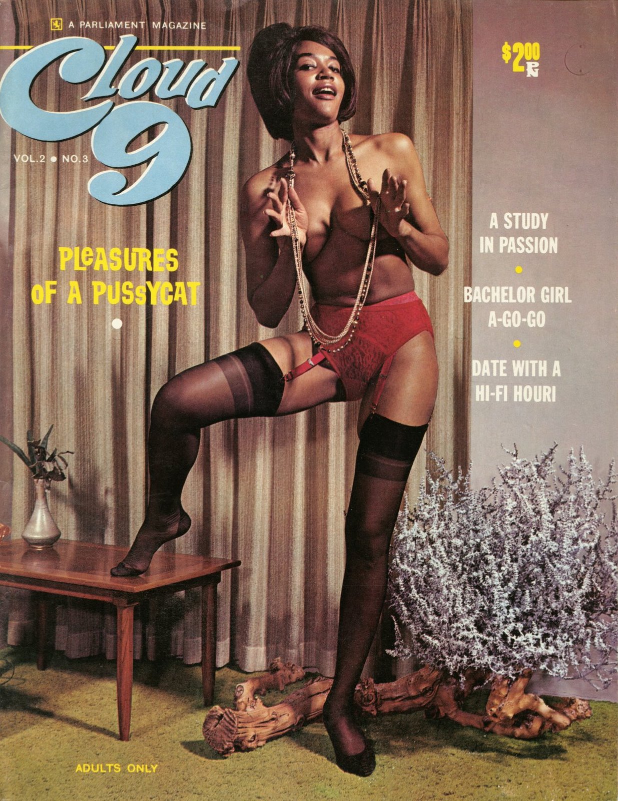 Neat Stuff Blog Vintage Adult Magazines-4992