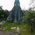 Guatemala - Tikal, des pyramides dans la jungle
