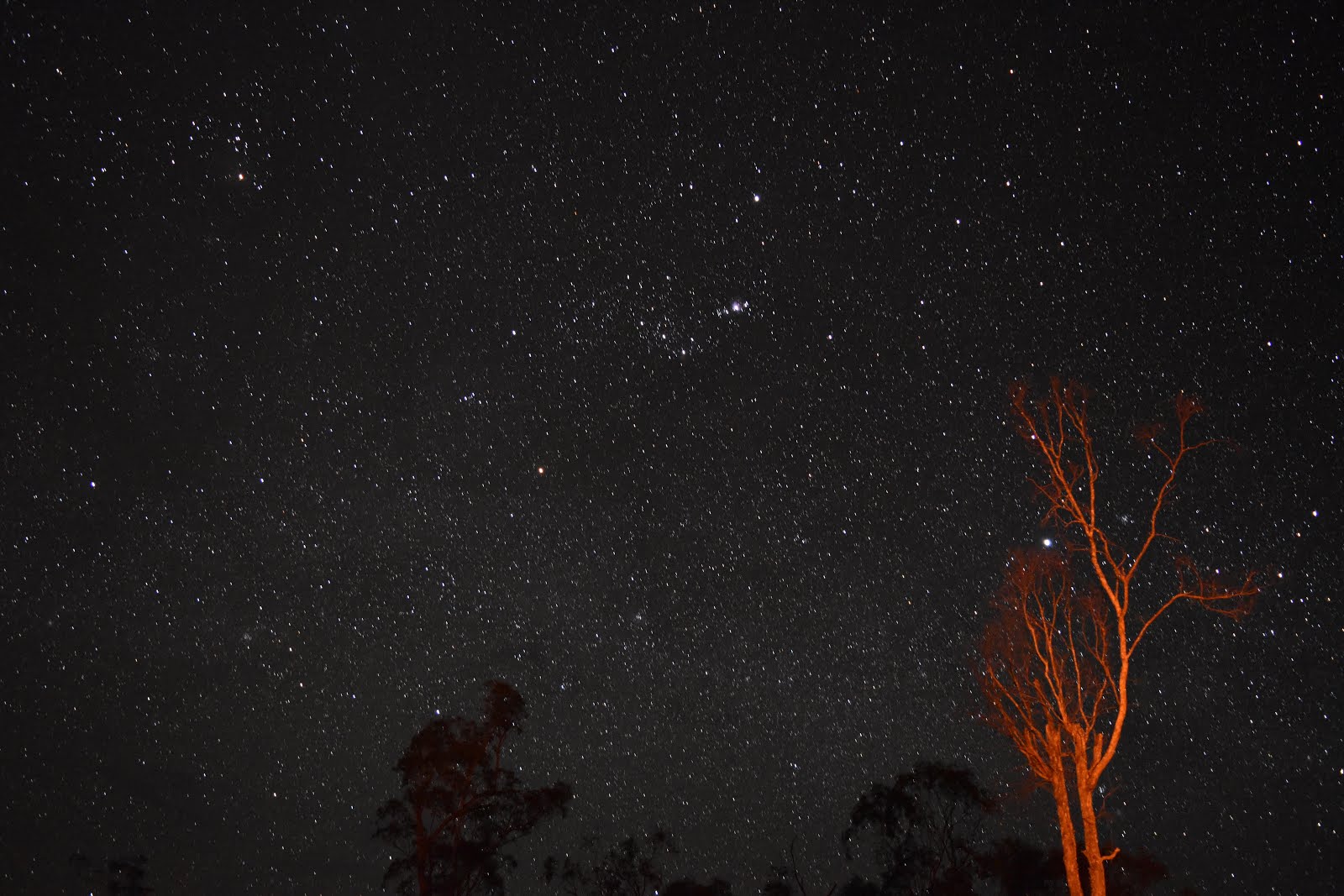 To Catch Sight Of. Blencoe Falls