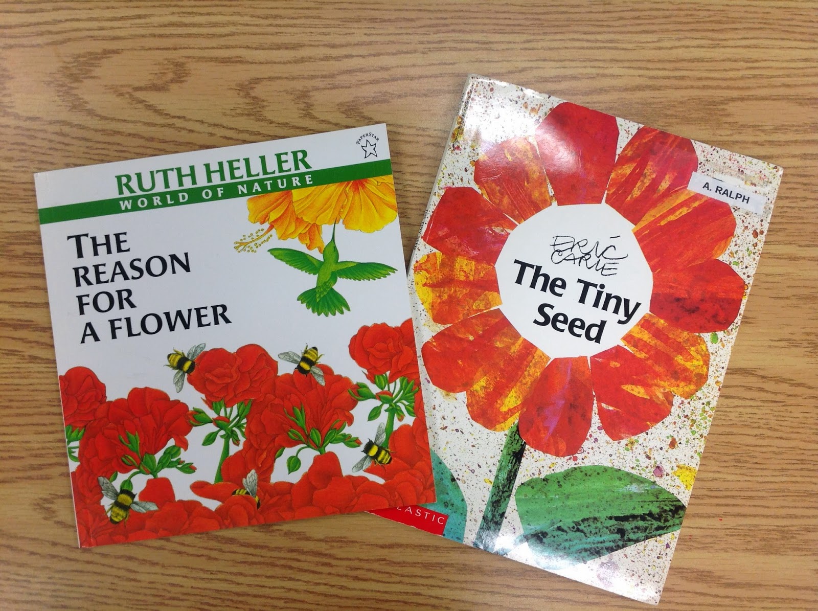 wonders-in-kindergarten-the-importance-of-flowers