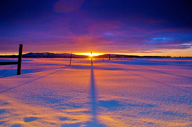 low horizon line low horizon line