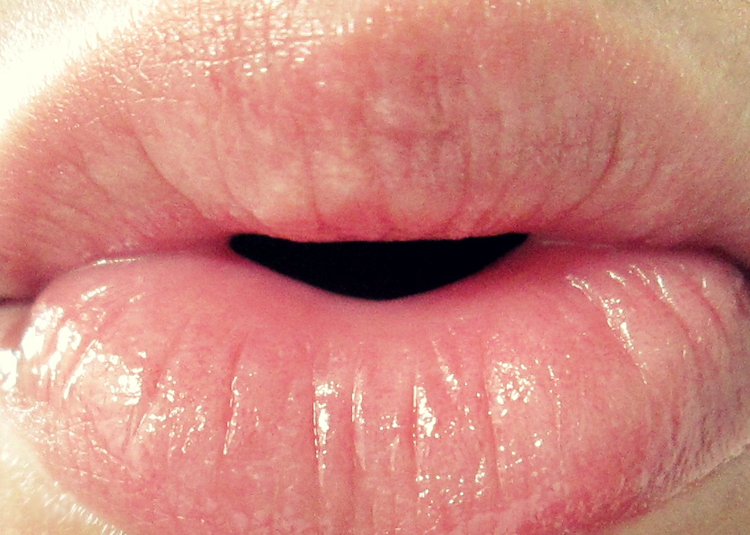 Stylish Smithereen's Creative Corner: Fall Lip Colors and Products and ...