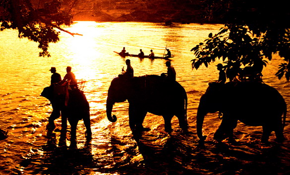 Ngất ngây với những hình ảnh đẹp của núi rừng Tây Nguyên Ngất ngây với những hình ảnh đẹp của núi rừng Tây Nguyên