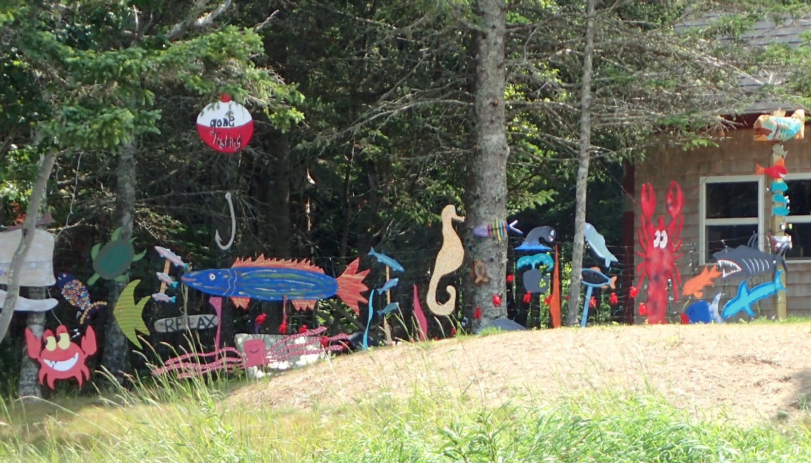 PenobscotPaddles Ladle Loop, South Addison Maine