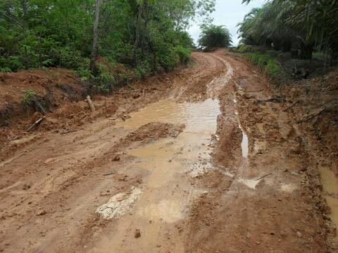 Perbedaan 70 Tahun Indonesia Merdeka, Jawa dengan Kalimantan Perbedaan 70 Tahun Indonesia Merdeka, Jawa dengan Kalimantan