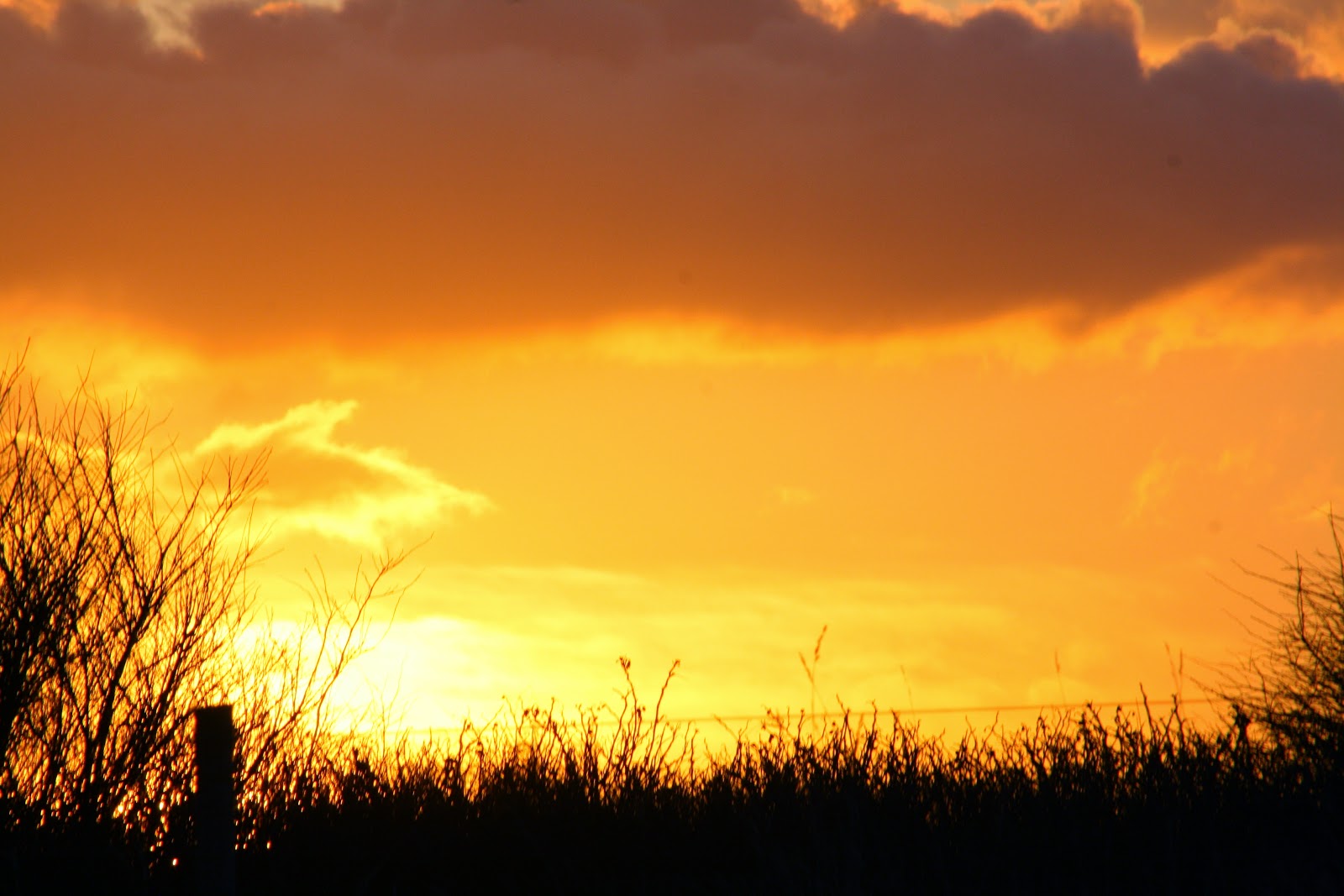 MI Daily Devotion: The Spirit of Christmas Made the Whole World Learn