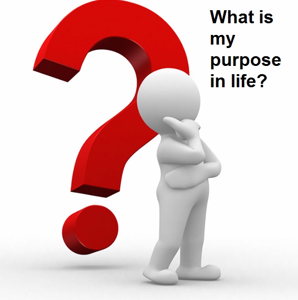 20 Powerful Questions to Help You Discover the Purpose Life