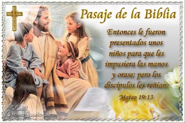 Vidas Santas Santo Evangelio Seg n San Mateo 19 13 lectura-del-santo-evangelio-seg-n-san-mateo-25-14-30-el-diario