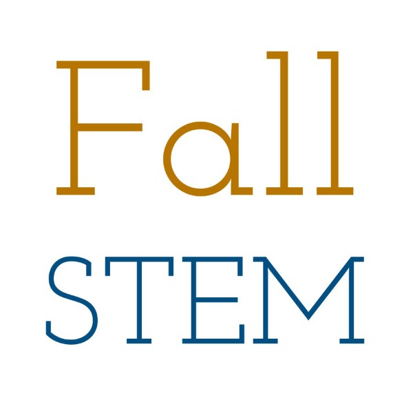 10 Fun kids STEM ideas for Fall!